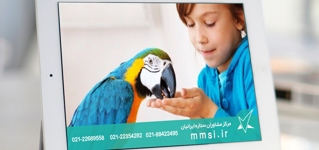 حیوان درمانی